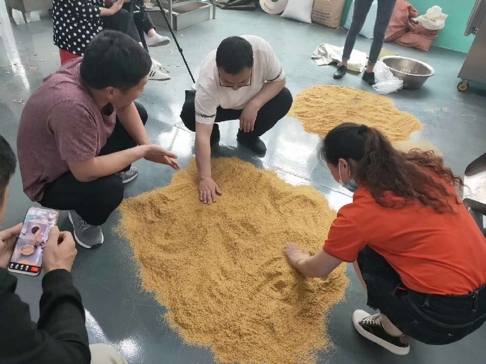 Customer from Zhoukou city came to Chikemachinery for wheat germ roasting